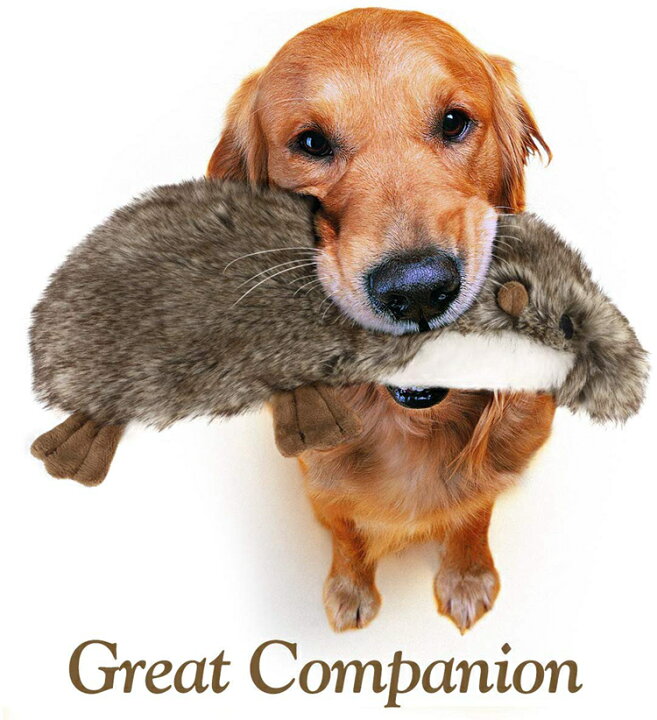 ペットおもちゃ Pawaboo ぬいぐるみ ハリネズミ型 丈夫 安全 清潔 犬おもちゃ 犬用噛むおもちゃ 発声装置搭載歯ぎしり 音が出る玩具 75 以上節約 犬おもちゃ