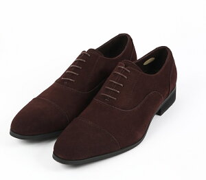 { {v xAU[ XG[h H Xg[g`bv [XAbv 3E  JWA Valentino Glario o`mOI YN-10B Y hXrWlXV[Y