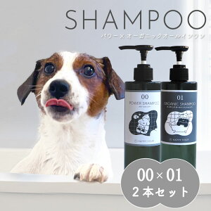 y1̓|Cgő10{z  I[KjbN Vv[ p[ I[C 2{Zbg q D PApi  􂢃Vv[ ybg Ck ʃVv[ n[u ybgP