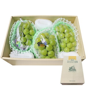 VC}XJbg Hה 3[ 480g×3 R R 쌧 Mtg 킢̂  p ̓ ̓ hV̓  Ԃǂ v[g t[c ̂ l  fUC