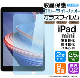 【ブルーライトカット】【安心の2枚セット】apple iPad mini 5 ( 第5世代 2019 ) / iPad mini 4 ( 2015 ) 7.9インチ ガラスフィルム 強化ガラス 液晶保護 飛散防止 指紋防止 硬度9H 2.5Dラウンドエッジ加工 ipad フィルム タブレット アップル アイパッド ミニ