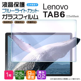 【楽天1位】【ブルーライトカット】 Lenovo TAB6 10.3インチ ガラスフィルム 強化ガラス 液晶保護 飛散防止 指紋防止 硬度9H 2.5Dラウンドエッジ加工 タブレット レノボ タブ シックス Softbank ソフトバンク