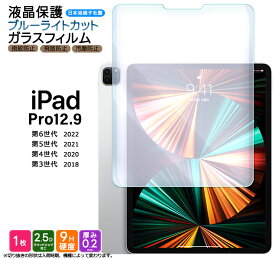 【LINE登録で10％OFF】iPad Pro 12.9 ブルーライトカット フィルム ガラスフィルム ガラス フィルム 12.9インチ 強化ガラス 保護フィルム ipadフィルム 液晶保護 飛散防止 指紋防止 画面保護 保護 硬度9H カバー シート タブ 送料無料 2022 第6世代 2021