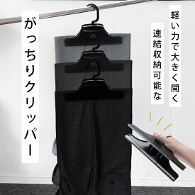 がっちりクリッパー 1個ハンガー クリップ パンツハンガー スラックス スカート 衣類ハンガー 洋服ハンガー サワフジ