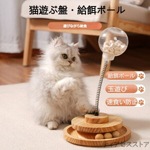 L  a{[ VԔ2w L {[ L̂ VԔ ]{[ a LЂƂŗVׂ邨 ^s L XgX ybgpi 邮^[ ʗV Xg