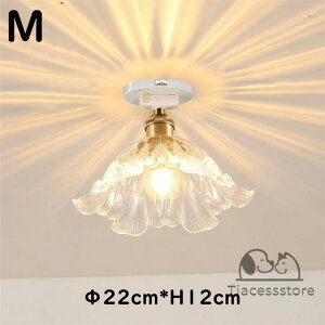 V[OCg  Ԍ^ 1 E26 ledΉ k KX gC Ɩ  ^V[OCg Ɩ VƖ |V[Op Ki Q  gC Lb` rO _C