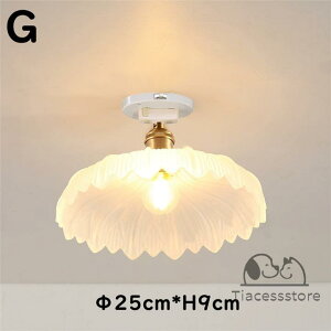 V[OCg  Ԍ^ 1 E26 ledΉ k KX gC Ɩ  ^V[OCg Ɩ VƖ |V[Op Ki Q  gC Lb` rO _C