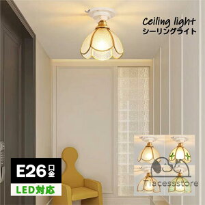 V[OCg   1 E26 ledΉ k PUV  ^V[OCg Ɩ VƖ |V[Op Ki Q  gC Lb` rO _CjO Hp V