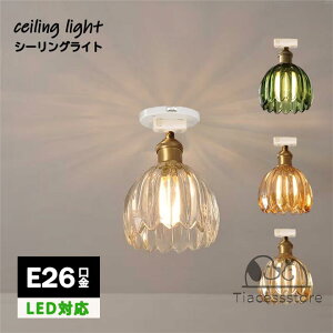 V[OCg k KX _CjO  1 E26 LEDΉ _ Vv fUC Ɩ VƖ VF[hv Cg  rO[ Q ʏ  Lb` 