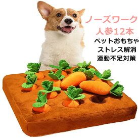 Znxxhf4odvdntm