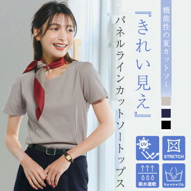 【UVカット・吸水速乾】 “きれい見え” パネルラインカットソートップス レディース トップス Tシャツ ブラウス 半袖 シンプル 無地 ストレッチ 仕事 シワになりにくい ウォッシャブル 洗える 30代 40代 50代 ティアクラッセ