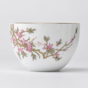 \ԕ`tiԁj 40mli70mlj t