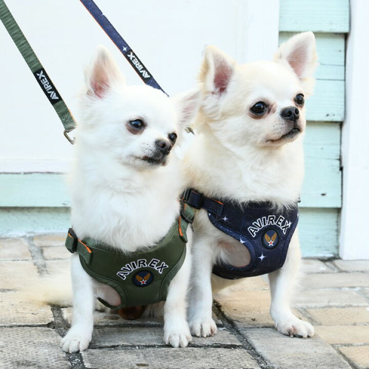楽天市場 アヴィレックス Avirex ハーネス L 大型犬 ペット カジュアル 犬服 ハーネス 胴輪 送料無料 Tiara Pets 楽天市場 アヴィレックス Avirex ハーネス L 大型犬 ペット カジュアル 犬服 ハーネス 胴輪 送料無料 Tiara Pets
