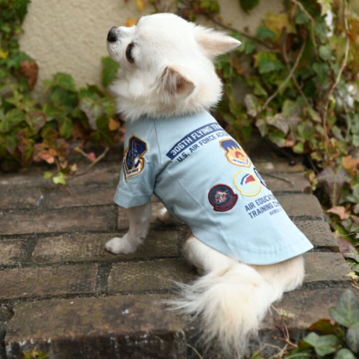 楽天市場 アヴィレックス Avirex ワッペンtシャツ 小型犬 犬服 ウエア トップス Tシャツ セレブ Tiara Pets
