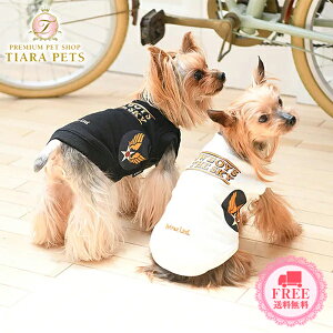 ABbNX AVIREX N[XEFbgEJE{[CIuUXJCy^  EGA gbvX g[i[ XEFbgz 