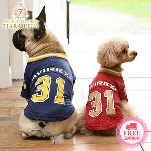 ABbNX AVIREX bVtbg{[TEEy^  EGA gbvX TVc Jbg\[ N[Hz 