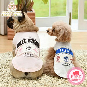 y0̂̓|Cg5{&eN[|s!!zABbNX AVIREX USAFT_[o[YTEEy^  EGA gbvX TVc Jbg\[ N[Hz 