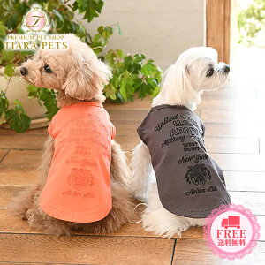 ABbNX AVIREX tF[hEHbV^Ny^  EGA gbvX ^Nz 