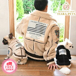 ABbNX AVIREX g{AB-3gbvKy ^ EGA Zu AE^[ 㒅 xXg WPbgz 