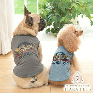 ABbNX AVIREX C[O^Ny^  gbvX ^Ngbv JWAz