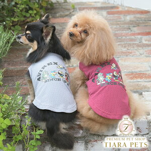 ABbNX AVIREX tF[hEHbV^Ny^  gbvX ^Ngbv JWAz