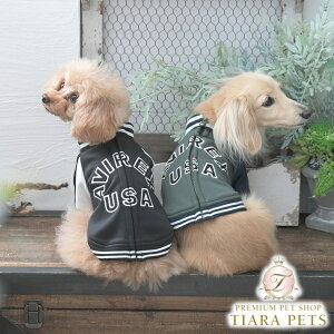 ABbNX AVIREX gbNJKTSy^  AE^[ WPbg JWAz