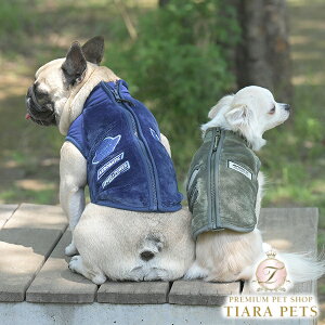 ABbNX AVIREX Spb`t[XWPbgy^  AE^[ WPbg JWAz