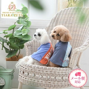 y0̂̓|Cg5{!!&eN[|s!!zGhEB EDWIN 肩TVcy^  N[H EGA gbvX TVc Jbg\[ Zuz