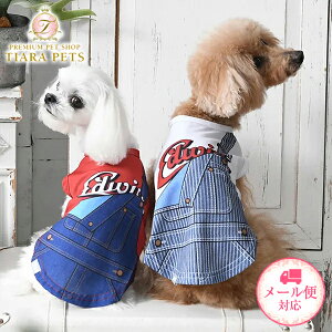 y0̂̓|Cg5{!!&eN[|s!!zGhEC EDWIN I[o[I[vgbV^Ny^  EGA gbvX ^N N[Hz