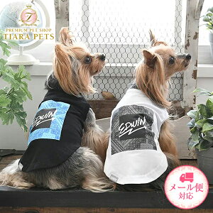 GhEC EDWIN o_i^Ny^  EGA gbvX ^N N[Hz