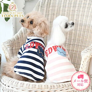 y0̂̓|Cg5{!!&eN[|s!!zGhEC EDWIN fj|Pbg{[_[TVc(XS-3L)y^  EGA gbvX TVc Jbg\[ N[Hz