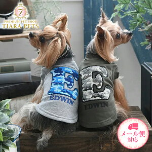 GhEC EDWIN pb`XEFbgy^  EGA gbvX g[i[ XEFbgz