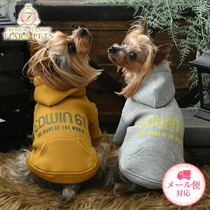 GhEC EDWIN ̂EDWIN61p[J[y^  EGA gbvX p[Jz