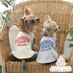 GhEC EDWIN JbWSK[^Ny^  EGA gbvX ^N JWAz