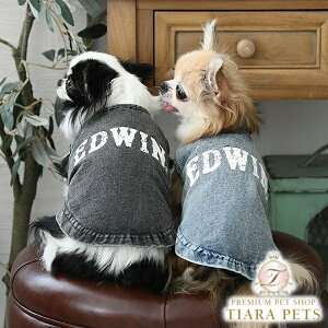 GhEC EDWIN EHbVhre[W^Ny^  EGA gbvX ^N JWAz