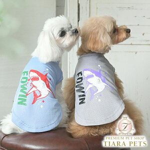 GhEC EDWIN V[NbV^Ny^  EGA gbvX ^Ngbv JWAz