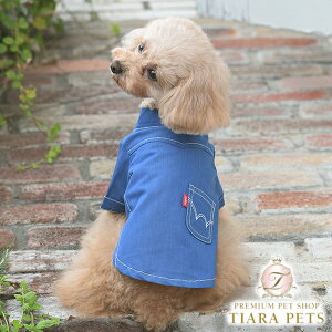 GhEC EDWIN fjCNEFX^Vcy^  EGA gbvX Vc JWAz