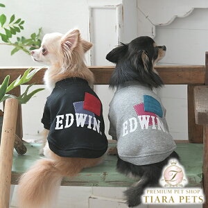 GhEC EDWIN pb`[NXEFbgy^  EGA gbvX XEFbg g[i[ JWAz