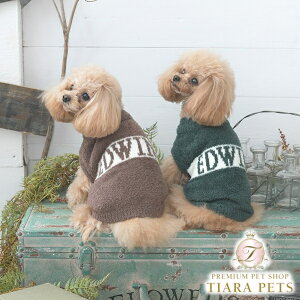 GhEC EDWIN SXEFbgy^  EGA gbvX XEFbg g[i[ JWAz