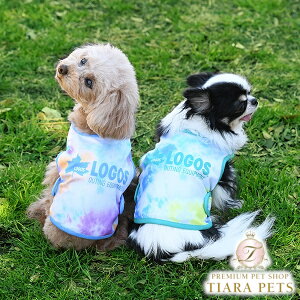 y1118|Cg2{!!zSX LOGOS ^C_CN[xXg ۗܕty^  EGA gbvX N[ xXg JWAz