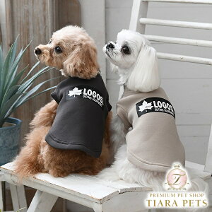 SX LOGOS ̂уnClbNXEFbgy^  gbvX XEFbg g[i[ JWAz