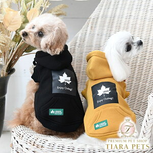 SX LOGOS ̂у{bNXSp[J[y^  gbvX XEFbg p[J[ JWAz