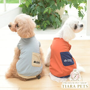 SX LOGOS |PbgtC[h^Ny gbvX ^Ngbv JWAz