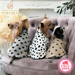 ysNjbN ROPE PICNIC EuJbg\[y^  EGA gbvX TVc Jbg\[ Zuz 