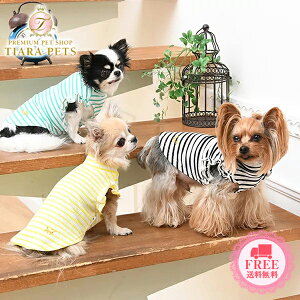 ysNjbN ROPE PICNIC V_[tuJbg\[y^  EGA gbvX TVc Jbg\[ Zuz 