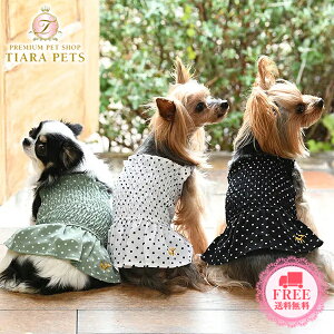 ysNjbN ROPE PICNIC MU[L~uEXy^  EGA gbvX uEX Jbg\[ Zuz 