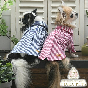 ysNjbN ROPE PICNIC XgCvVcy^  EGA gbvX Vc Zuz