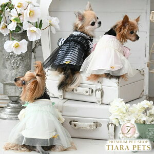 ysNjbN ROPE PICNIC `[hbLOs[Xy^  EGA s[X Zuz