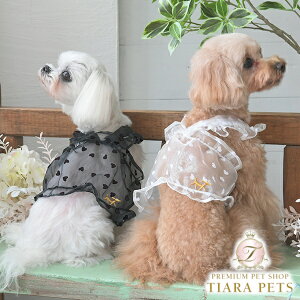 ysNjbN ROPE PICNIC V[X[n[gV[gL~y^  EGA gbvX L~\[ Zuz