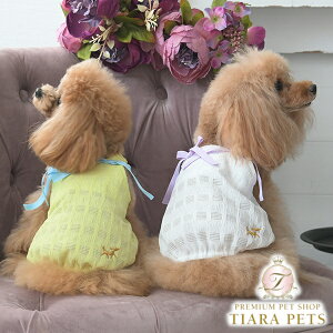 ysNjbN ROPE PICNIC {tL~sy^  EGA s[X hX Zuz